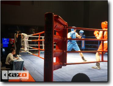 Lingang University Boxing Competition