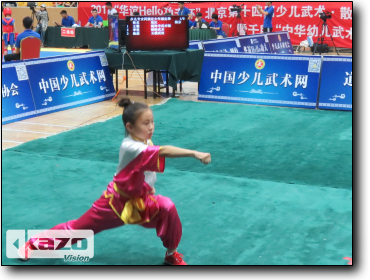 2017 Beijing Junior Wushu Competition
