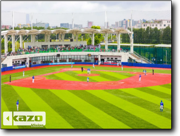the 17th Guangdong Provincial Games Elite Sports Baseball Competition