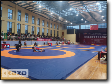 2021 Hunan Youth Wrestling Championship