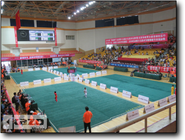 Beijing Junior Wushu Competition