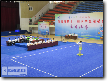 Wushu Competition of the 11th University Sports Games of Hunan
